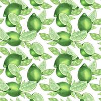 Juicy green lime. Lime slices. Exotic citrus fruit. Watercolor seamless pattern. On a white background. Suitable for textiles, packaging, wrapping, postcards, decoration. vector