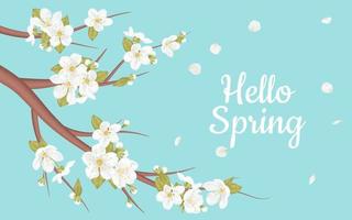 Banner Hello Spring. Card for spring season with cherry tree blossom, promotion offer spring plants, leaves and white sakura flowers on branch  on blue sky background. Plum or apple blossom branch. vector