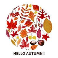 Hello autumn, poster with dry leaves and foliage vector