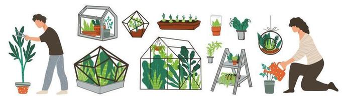 invernadero o invernadero, crecimiento de plantas y botánica vector