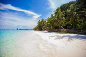 Ideal tropical beach with turquoise water and white sand photo