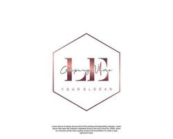 Initial LE Feminine logo beauty monogram and elegant logo design, handwriting logo of initial signature, wedding, fashion, floral and botanical with creative template vector