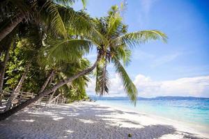 Perfect white beach with green palms and turquoise water photo