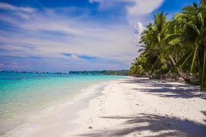 Tropical beach with beautiful palms and white sand, Philippines photo