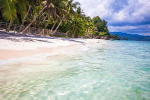 Tropical perfect beach with green palms,white sand and turquoise water photo