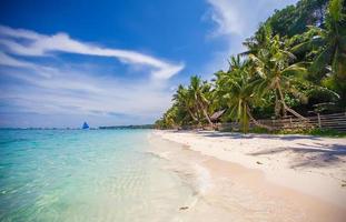 Tropical beach with beautiful palms and white sand, Philippines photo