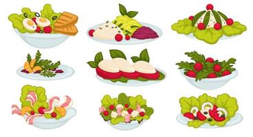 Salads and healthy food with greenery and veggies vector