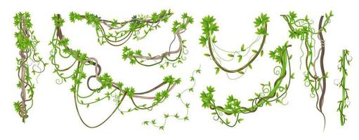 Jungle weaving plants and branches with leaves vector