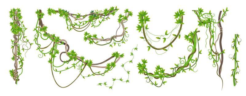 Jungle weaving plants and branches with leaves