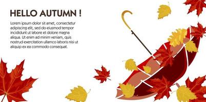 Hello autumn, poster with text and decorative leaf vector