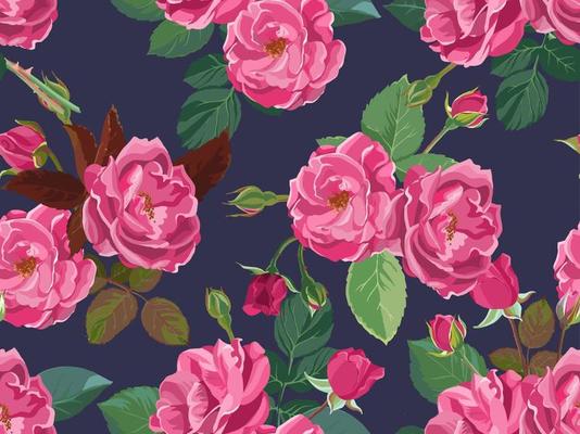 Summer and spring foliage and blooming pink roses