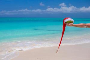 coco con sombrero de santa en manos masculinas contra el mar turquesa foto