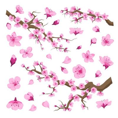 Sakura blossom, cherry tree with flowers pattern