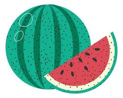 Watermelon fruit with seeds, ripe products vector