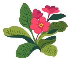 Blooming flower, florist composition houseplant vector