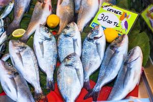 mercado de pescado con pescado fresco del mar foto