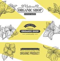 Natural organic shop with premium quality vector