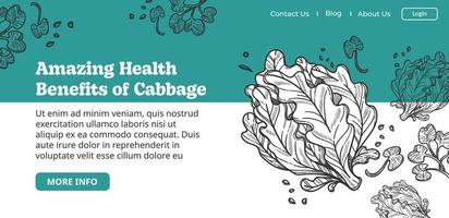 Amazing health benefits of cabbage website page vector