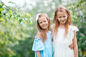 Adorable little girls in blooming apple tree garden on spring day photo