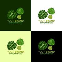 Monstera logo template green leaves logo vector