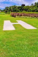 Helipad on grass in Seyshelles photo