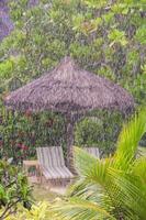 Strong tropical rain in the Seychelles photo