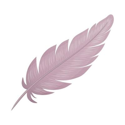 Birds feather. Vector illustration. Isolated on white. Cartoon style.
