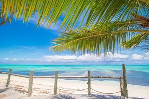 Tropical beach with palms and white sand on Caribbean photo