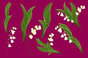 Spring set with lily of the valley flowers and herbs. Botanical illustration. vector