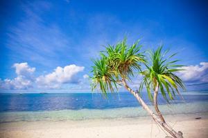 Ideal tropical beach with turquoise water and white sand on a desert island photo