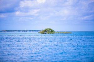 Incredibly clean water in the sea near tropical island photo