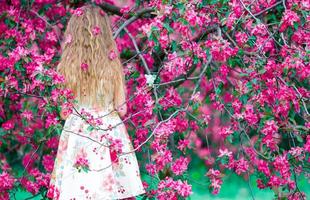 Adorable little girl in blooming apple tree garden on spring day photo