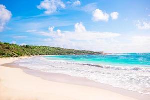 idílica playa tropical con arena blanca, aguas turquesas del océano y cielo azul foto