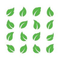 conjunto de ilustración de vector de hojas verdes
