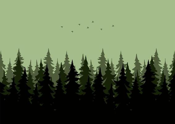 forests landscape vector illustration with a green silhouette