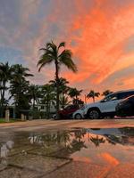 hermosa palmera de coco con un increíble cielo vívido al atardecer foto