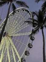 noria en el parque en el centro de miami al atardecer foto