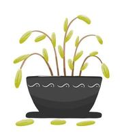 Home plant wither in pot vector