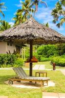 Sunbed under an umbrella in the hotel pool at Seychelles photo