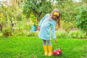 Little girl with basket of apples in sunny autumn day photo