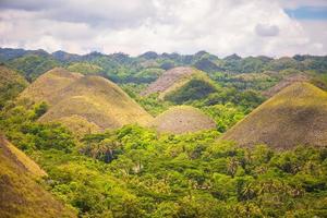 colinas de chocolate inusuales verdes y amarillas en bohol, filipinas foto
