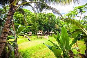 Philippine traditional village photo