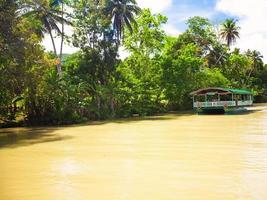 barco de crucero exótico con turistas en un río de la selva loboc, bohol foto