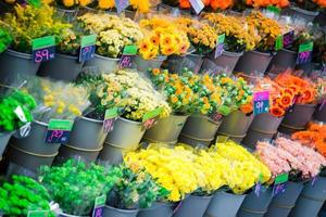 Street flower market with various multicolored fresh flowers outdoors in Europe photo
