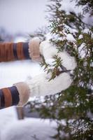 Soft warm knitted mittens hold fir twig in winter photo