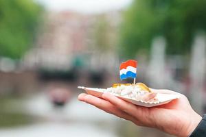 sabroso arenque fresco con cebolla y bandera holandesa en el fondo del canal de agua en amsterdam. comida tradicional holandesa foto