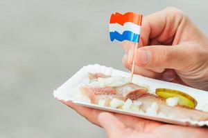 sabroso arenque fresco con cebolla y bandera holandesa en el fondo del canal de agua en amsterdam. comida tradicional holandesa foto