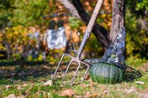 View of Halloween Pumpkins, witch's hat and rake outdoors photo