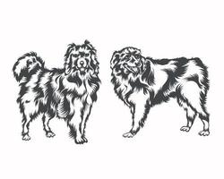 Australian Shepherd Dog Face Black and White Vector