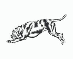 ilustración de vector de perro boxer, vector de perro boxer sobre fondo blanco